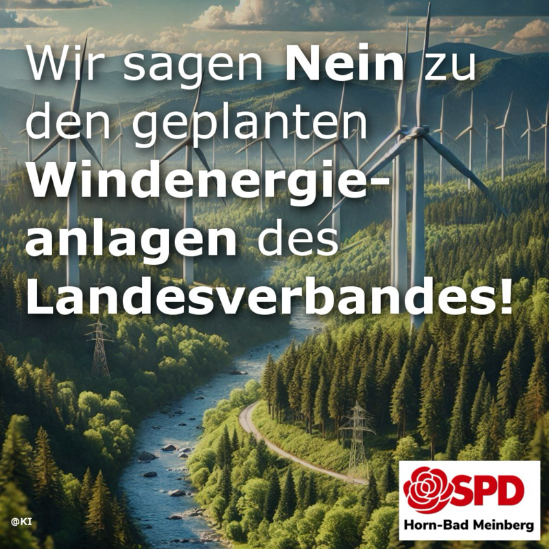 Wir sagen Nein zu den geplanten Windenenergieanlagen des Landesverbandes!